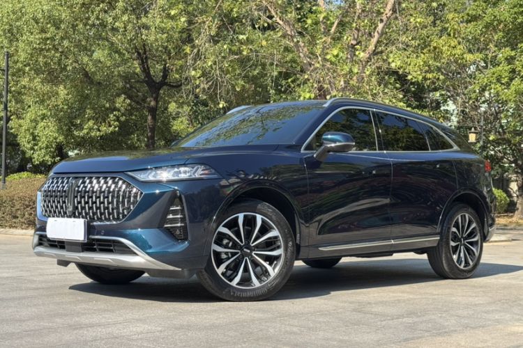 Used Wey Mocha 2021 2.0T Two-Wheel-Drive Premium Edition
