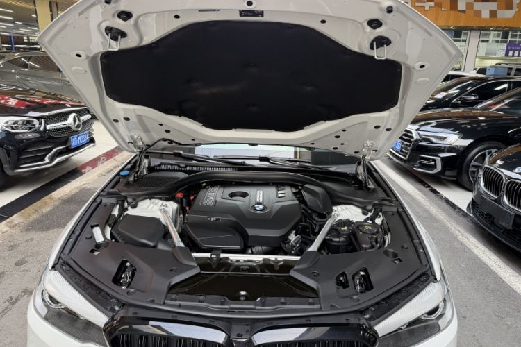 Used BMW 5 Series 2019 530Li Leading Model M Sport Package
