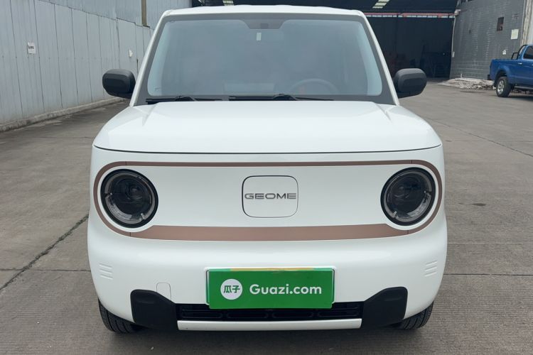 Used  Panda 2024 Panda Mini 200km Endurance Bear
