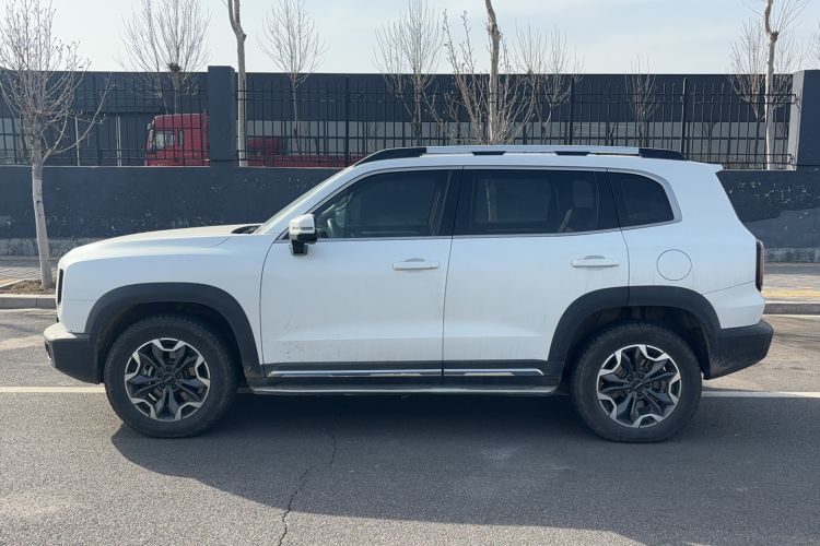 Used Haval DARGO 2021 2.0T DCT 4x4 Chinese Rural Dog Edition
