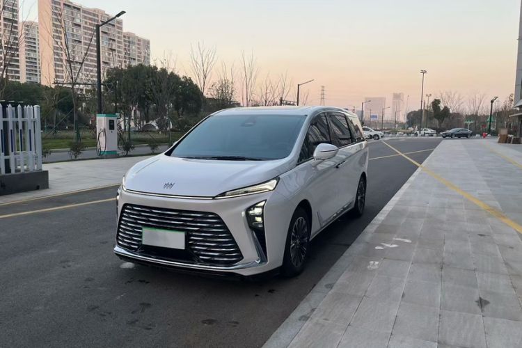 Used Buick GL8 2025 Lu Zun Smart Enjoyment Edition