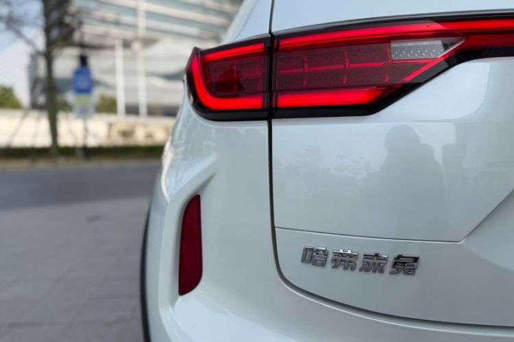 Used Haval LHERY 2021 High-Performance Version 1.5T Golden Rabbit
