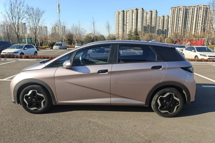Used BYD Dolphin 2021 405 km Free Version
