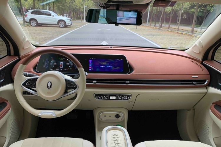 Used ORA Good Cat 2023 401 km Standard Range Luxury Version Lithium Iron Phosphate