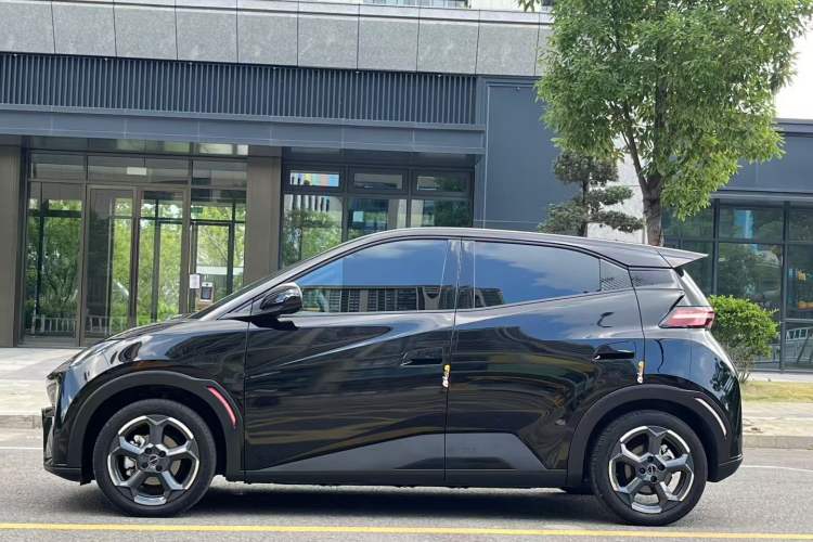 Used BYD Seagull 2023 Flying Edition
