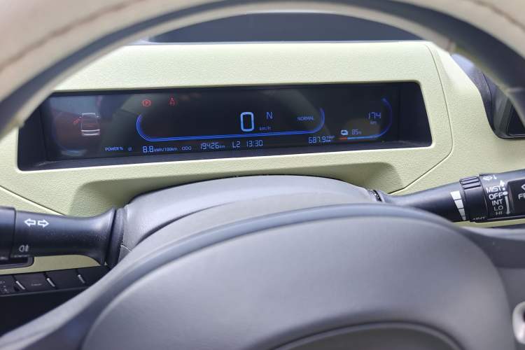 Used  Panda 2023 Panda Mini 200km Endurance Bear
