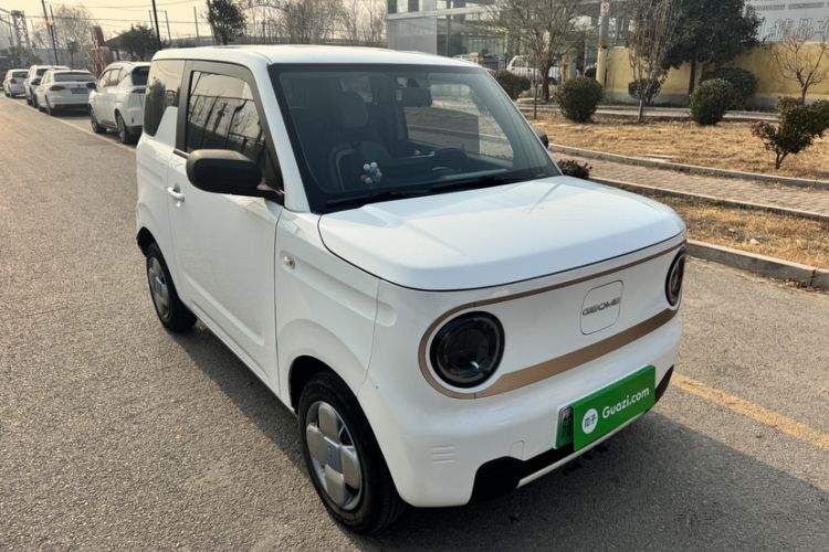 Used  Panda 2023 Panda Mini 200km Endurance Bear

