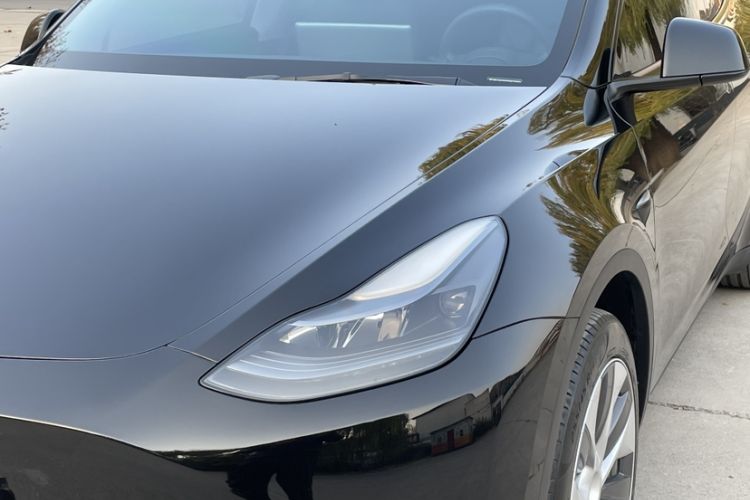 Used Tesla Model Y 2021 Standard Range Rear-Wheel Drive Version
