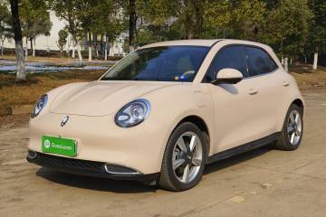 Used ORA Good Cat 2023 401 km Standard Range Prestige Version Lithium Iron Phosphate