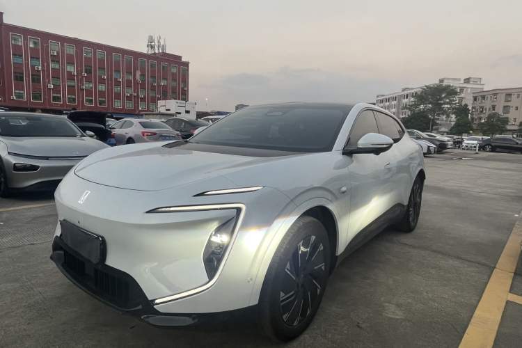 Used  07 2024 Pro Pure Electric Version
