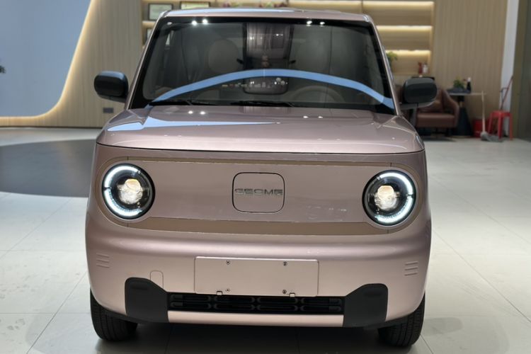 Used  Panda 2024 Panda Mini 200km Endurance Bear
