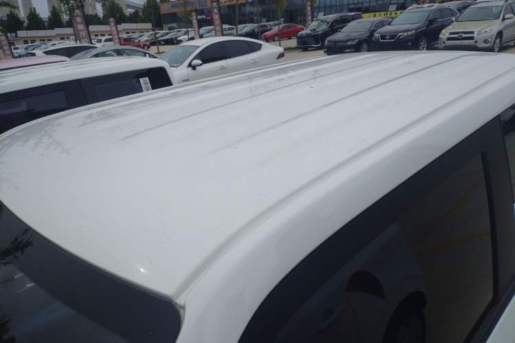 Used  Panda 2024 Panda Mini 200km Endurance Bear
