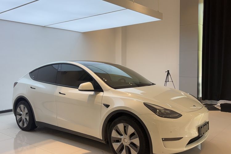 Used Tesla Model Y 2021 Standard Range Rear-Wheel Drive Version
