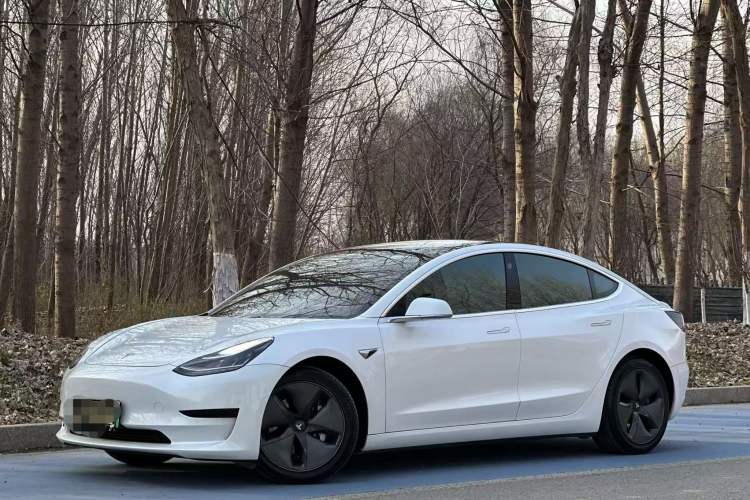 Used Tesla Model 3 2019 Standard Range Rear-Wheel Drive Upgraded Version (52 kWh)
