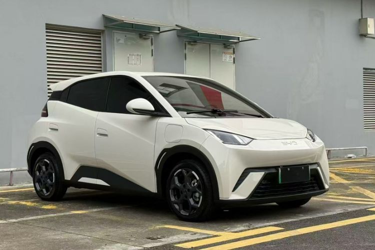 Used BYD Seagull 2025 305 km Free Version
