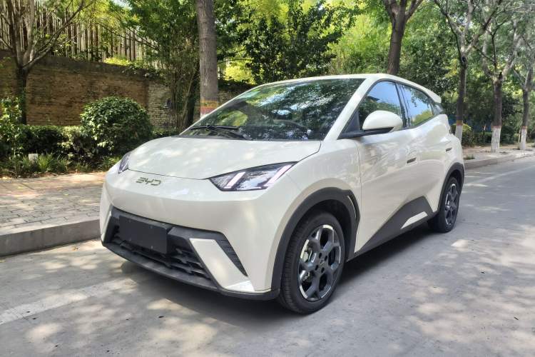 Used BYD Seagull 2025 305 km Free Version
