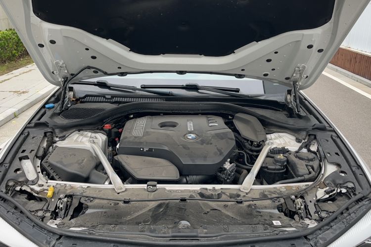 Used BMW 5 Series 2020 525Li Luxury Package
