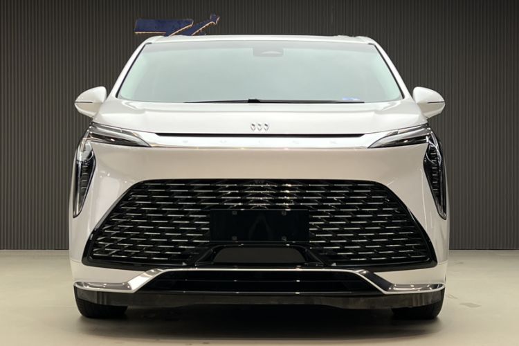 Used Buick Century 2023 2.0T Six-Seater Yinshi Edition
