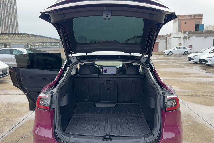 Used Tesla Model Y 2021 Standard Range Rear-Wheel Drive Version
