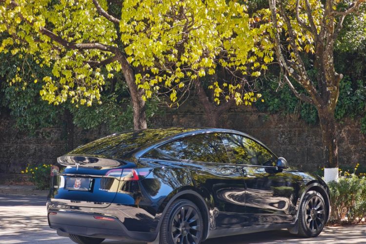 Used Tesla Model Y 2022 Rear-Wheel-Drive Version