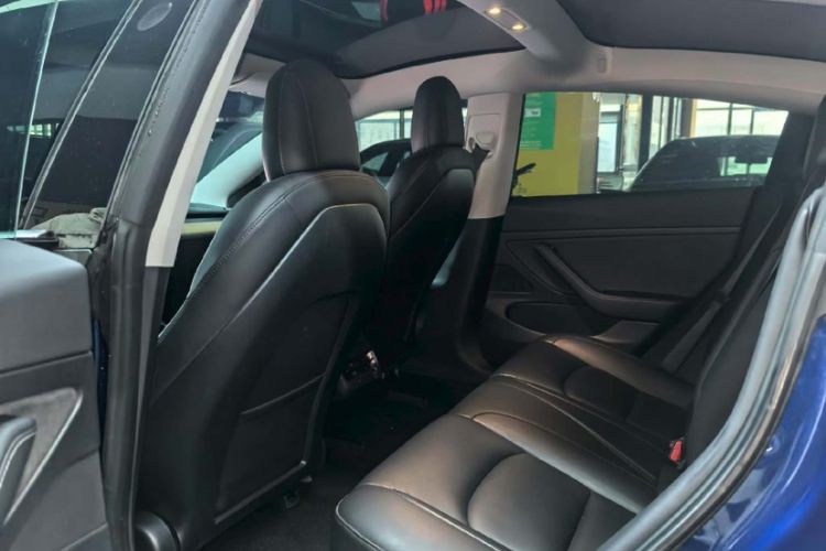 Used Tesla Model 3 2020 Standard Range Rear-Wheel Drive Upgraded Version