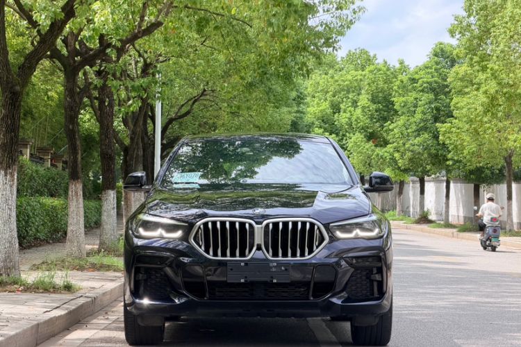 Used BMW X6 2022 xDrive30i M Sport Package
