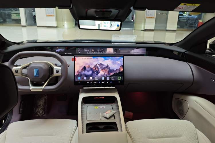 Used  12 2025 Year Updated Max All-Electric Version
