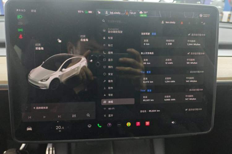 Used Tesla Model Y 2021 Standard Range Rear-Wheel Drive Version
