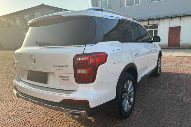 Used GAC Trumpchi GS8 2020 390T Two-Wheel Drive Luxury Smart Connectivity Commemorative Edition (7 Seats)
