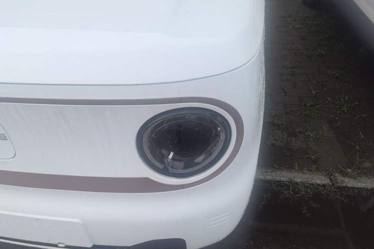 Used  Panda 2024 Panda Mini 200km Endurance Bear
