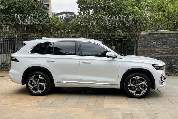 Used Geely Auto Monjaro L 2021 2.0TD DCT EVO Two-Wheel Drive Prestige Version
