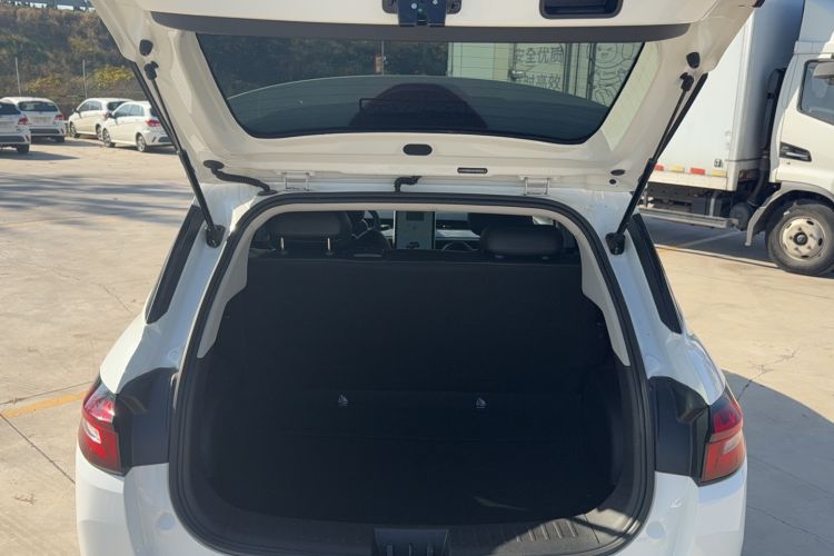 Used NETA AYA 2023 401 Lite