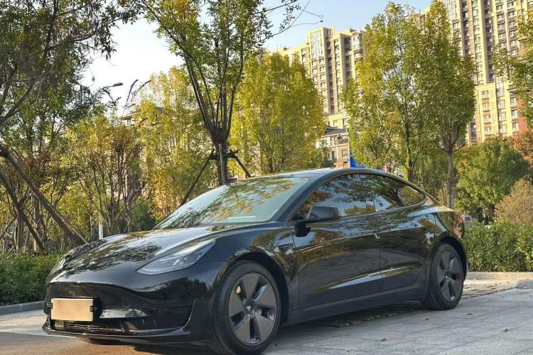 Used Tesla Model 3 2021 Revised Version Standard Range Rear-Wheel Drive Upgraded Edition 3D1
