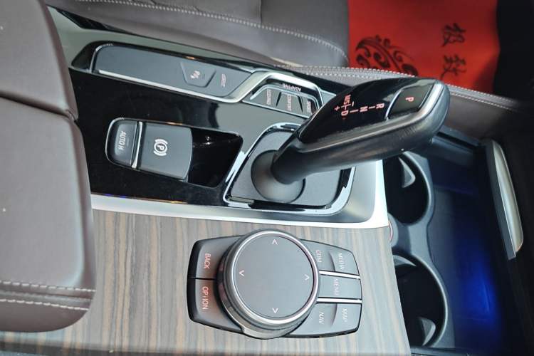 Used BMW 5 Series New Energy 2020 530Le Luxury Package