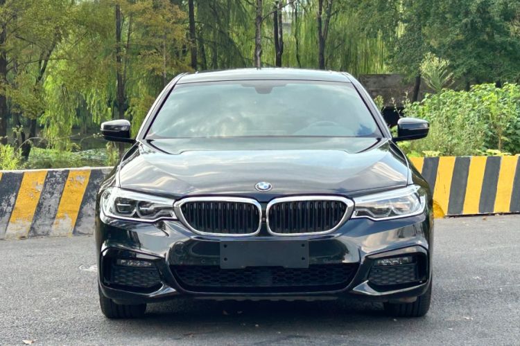 Used BMW 5 Series 2019 530Li Luxury Edition M Sport Package
