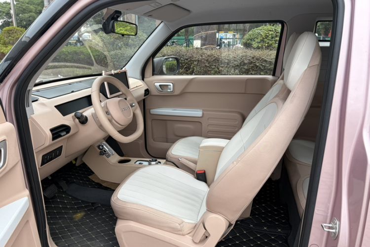 Used  Panda 2023 Panda Mini 200km Endurance Bear
