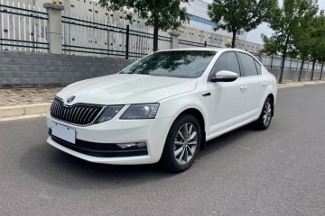 Used Skoda Octavia 2019 1.5L Automatic Comfort Edition