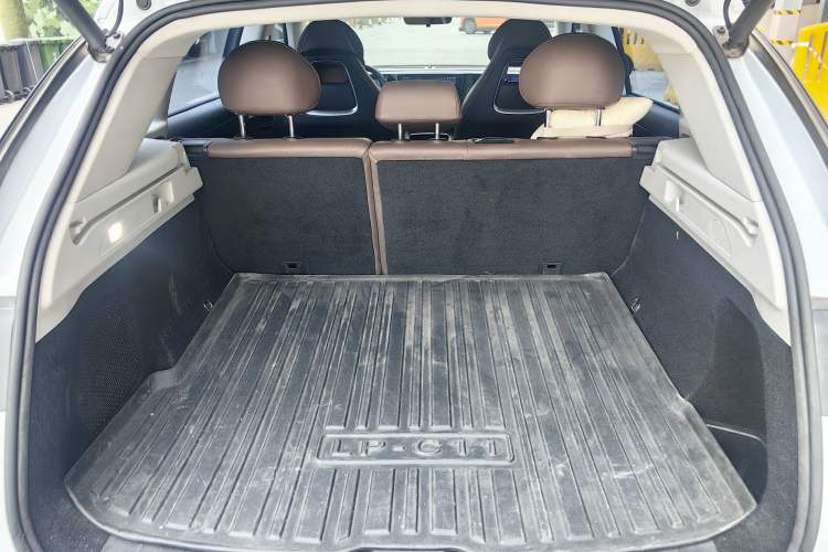 Used Leapmotor C11 2023 Pure Electric 500 Comfort Edition