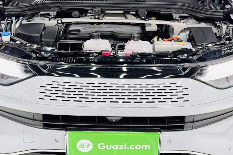 Used Leapmotor C11 2024 Range-Extended 300 Luxury Edition
