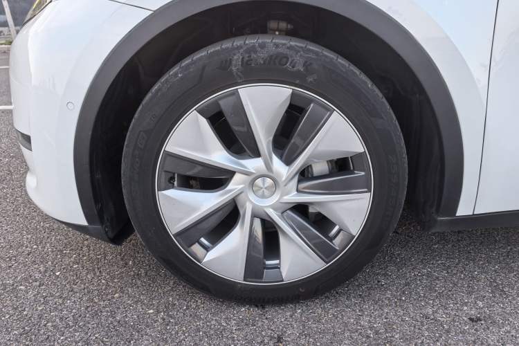 Used Tesla Model Y 2021 Standard Range Rear-Wheel Drive Version
