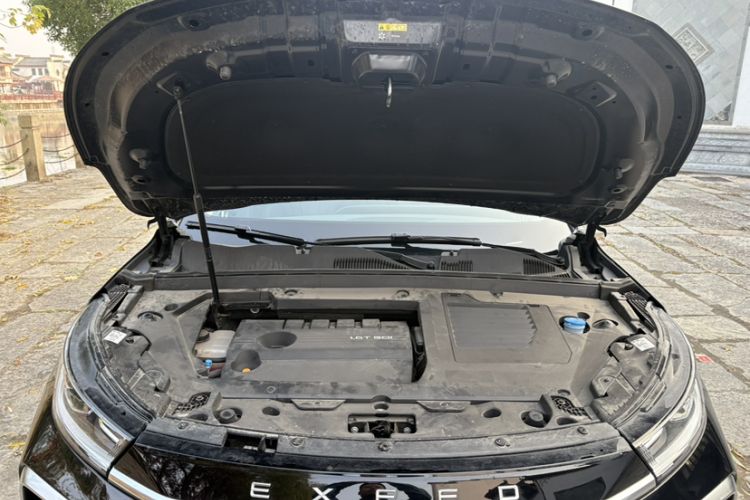 Used  Lingyun 2024 300T Two-Wheel Drive Starlight Edition