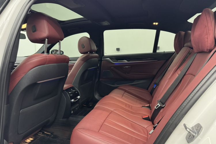 Used BMW 5 Series 2020 530Li Luxury Edition M Sport Package
