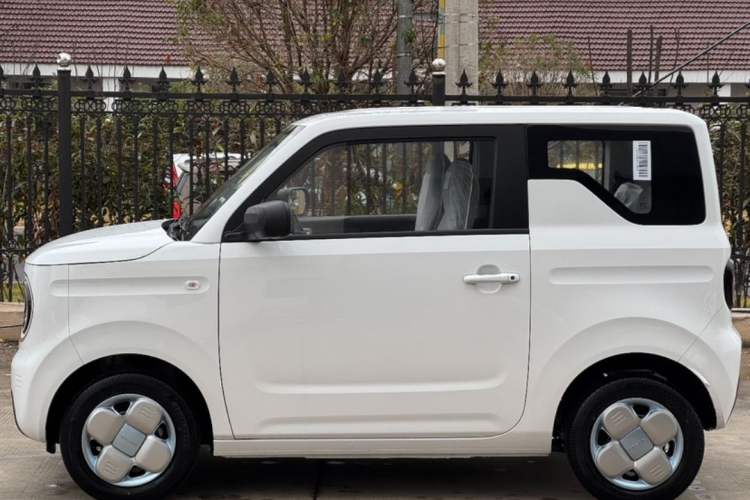 Used  Panda 2024 Panda Mini 200km Endurance Bear
