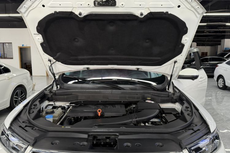 Used Haval H6 2020 1.5 GDIT Automatic Platinum Urban Edition
