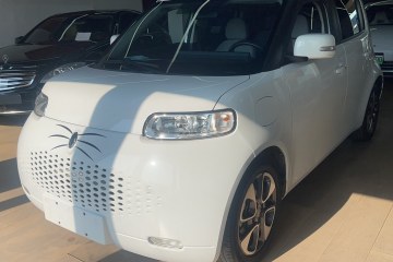 Used ORA White Cat 2020 305 km Luxury Version