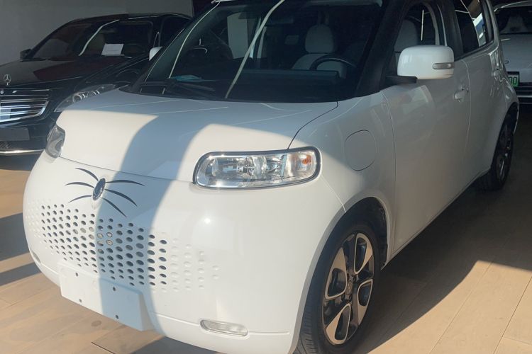 Used ORA White Cat 2020 305 km Luxury Version
