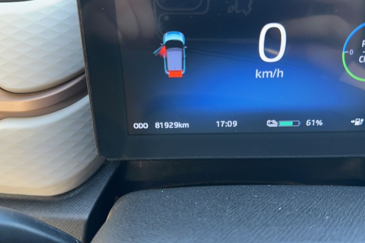 Used SOL E10X 2022 Flower Fairy Design Dandelion
