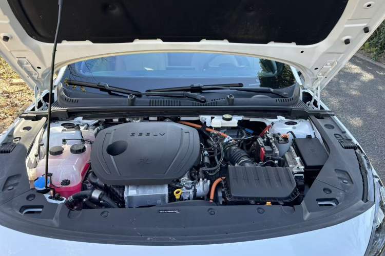 Used  L6 2024 125km PLUS Dragon Edition