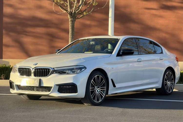 Used BMW 5 Series 2019 530Li Leading Model M Sport Package