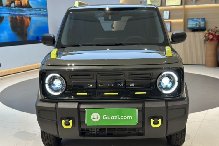 Used  Panda 2024 200km Panda Rider
